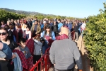 Betxí compleix amb la tradició i va pujar a la Muntanyeta de Sant Antoni