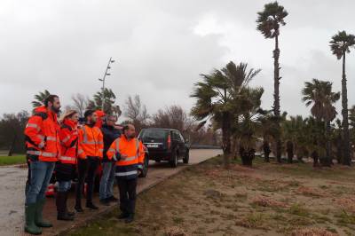Castell remite al Gobierno el informe de daos del temporal Gloria para optar a las ayudas
