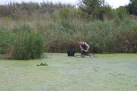 Interrompuda la campanya de seguiment i control de tortugues en la Desembocadura del riu Millars
