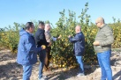 LA UNIO solicita ayuda extraordinaria de retirada de 50.000 toneladas de limones para compensar prdidas de productores alicantinos
