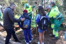 Vila-real celebra el centenario de la plantacin de 3.000 pinos en el Termet en el Da del rbol