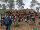 Acci Ecologista-Agr denuncia els greus incompliments en boscots d'utilitat pblica a nguera
