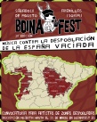 Boina Fest compleix 10 anys de lluita contra la despoblaci buscant artistes de Castell