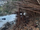 Desmantelen artefactes per a caa furtiva en Desembocadura del riu Millars