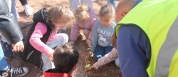 Escolares de Almenara plantan cerca de 250 ejemplares de pino carrasco y almez en la localidad