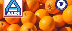 AVA-ASAJA denuncia a ALDI por venta a prdidas en naranjas