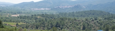 Vilafamés ruge con el Rallye de la Cerámica