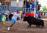 Toros Martes