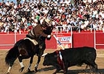 Paseillo y ambiente