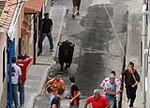 Las Fiestas en honor a la Mare de Deu del Roser exhibe tres astados para los mayores y un encierro para los más pequeños.