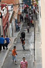 Las Fiestas en honor a la Mare de Deu del Roser exhibe tres astados para los mayores y un encierro para los más pequeños.