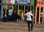 El toro que sólo duró un minuto