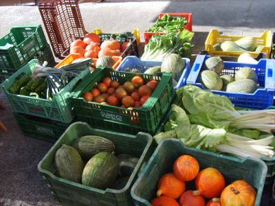 Firman un convenio para el fomento de la agricultura ecol�gica