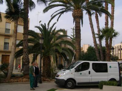 Instalan riego localizado en jardines y parques p�blicos, para ahorrar agua