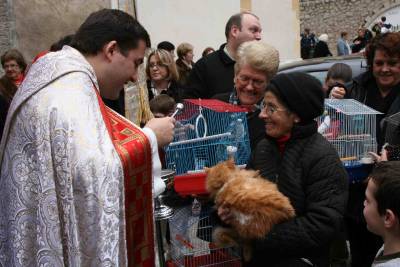 Sant Antoni trae la tradicional bendici�n de mascotas