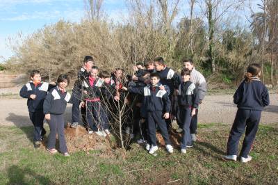 Los escolares del CP Illes Columbretes plantan �rboles en el paraje del Clot