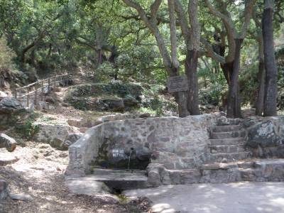 Las fuentes entran en el Programa de Paisaje del Municipio