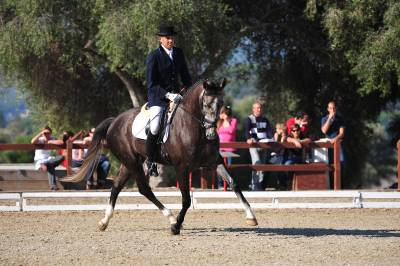 Tom�s Caudet de la Escola d'Equitaci� de l'Alcora mejor puntuado del Concurso Internacional Circuito del Sol de Doma Cl�sica