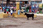 Encierro Viernes la Vall