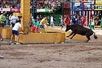 Encierro Viernes la Vall