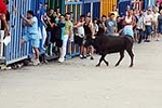 Encierro Viernes la Vall