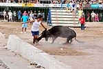 Encierro Viernes la Vall