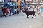 Encierro Viernes la Vall