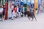 Encierro Viernes la Vall