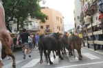 Encierro Viernes la Vall