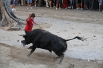 'El bou és lo de menos' y 'Les Bourrianeres' 