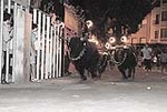 encierro de toros embolados