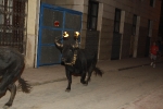 encierro de toros embolados