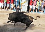 El segundo toro de la peña L\'Alternativa envía a dos personas al Hospital La Plana