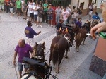 festejos taurinos en Figuerloes 2011