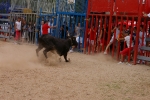 Un joven de Almassora sufre una cornada en el pecho en las fiestas del Carmen de Burriana