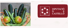 http: //www.dipcas.es