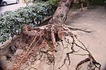 Fotografia /Galeria/2012/10/73928_39477/7_M1.jpg