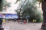 Fotografia /Galeria/2012/10/73928_39477/8_M1.jpg