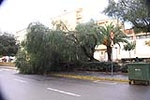 Fotografia /Galeria/2012/10/73928_39477/9_M1.jpg