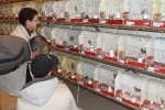 Más de 3.000 pájaros en el Concurso Internacional de Ornitología de la Vall