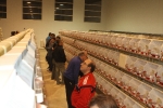 Más de 3.000 pájaros en el Concurso Internacional de Ornitología de la Vall