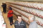 Más de 3.000 pájaros en el Concurso Internacional de Ornitología de la Vall
