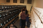 Más de 3.000 pájaros en el Concurso Internacional de Ornitología de la Vall
