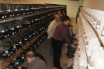 Más de 3.000 pájaros en el Concurso Internacional de Ornitología de la Vall