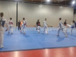 El Club Taekwondo Onda participa en el cursillo de Jesús Benito