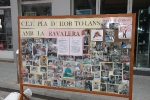 Las calles de Burriana lucen Cruces de Mayo y jardines