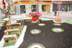 Las calles de Burriana lucen Cruces de Mayo y jardines