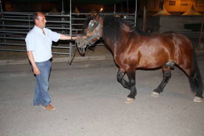 Fotografia /Galeria/2012/5/65856_34918/2_M1.jpg