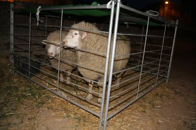 Fotografia /Galeria/2012/5/65856_34918/5_M1.jpg