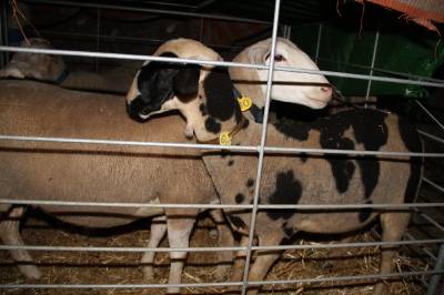 Fotografia /Galeria/2012/5/65856_34918/6_M1.jpg